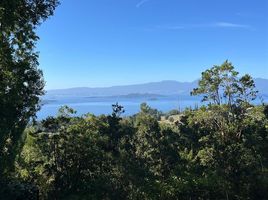  Terreno (Parcela) en venta en Los Ríos, Lago Ranco, Ranco, Los Ríos