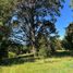  Terreno (Parcela) en venta en Los Ríos, Lago Ranco, Ranco, Los Ríos