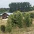 2 Bedroom House for sale in Puerto Octay, Osorno, Puerto Octay