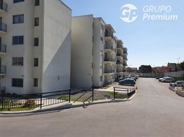 3 chambre Appartement for rent in Coquimbo, Coquimbo, Elqui, Coquimbo