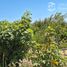  Terreno (Parcela) en venta en Melipilla, Santiago, Melipilla, Melipilla