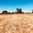  Land for sale in Maule, San Clemente, Talca, Maule