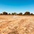  Land for sale in Maule, San Clemente, Talca, Maule