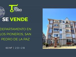 갈라파고스PropertyTypeNameBedroom, Tomas De Berlanga Santo Tomas, 이사벨라, 갈라파고스