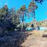  Land for sale in Rio Negro, Bariloche, Rio Negro