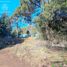  Land for sale in Rio Negro, Bariloche, Rio Negro