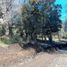  Land for sale in Rio Negro, Bariloche, Rio Negro