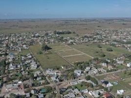  Land for sale in La Plata, Buenos Aires, La Plata