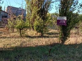  Land for sale in Neuquen, Confluencia, Neuquen