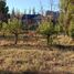  Land for sale in Neuquen, Confluencia, Neuquen