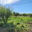  Land for sale in Colon, Entre Rios, Colon