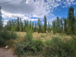  Terreno (Parcela) en venta en Neuquen, Confluencia, Neuquen