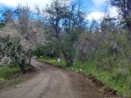  Grundstück zu verkaufen in Cushamen, Chubut, Cushamen