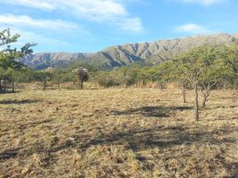  Terreno (Parcela) en venta en Junin, San Luis, Junin