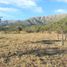  Land for sale in Junin, San Luis, Junin