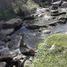  Terreno (Parcela) en venta en Punilla, Cordobá, Punilla
