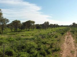  Land for sale in Ischilin, Cordoba, Ischilin