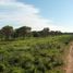  Land for sale in Ischilin, Cordoba, Ischilin