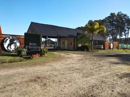  Land for sale in General Rodriguez, Buenos Aires, General Rodriguez
