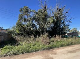  Grundstück zu verkaufen in La Plata, Buenos Aires, La Plata