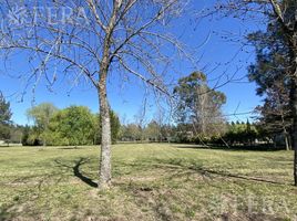  Land for sale in La Plata, Buenos Aires, La Plata