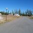  Land for sale in Neuquen, Confluencia, Neuquen