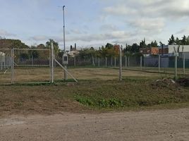  Grundstück zu verkaufen in La Plata, Buenos Aires, La Plata