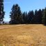  Land for sale in Rio Negro, Bariloche, Rio Negro