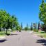  Terreno (Parcela) en venta en San Rafael, Mendoza, San Rafael