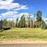  Land for sale in Confluencia, Neuquen, Confluencia