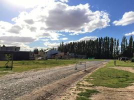  Land for sale in Confluencia, Neuquen, Confluencia