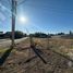  Land for sale in Confluencia, Neuquen, Confluencia