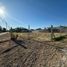  Land for sale in Neuquen, Confluencia, Neuquen