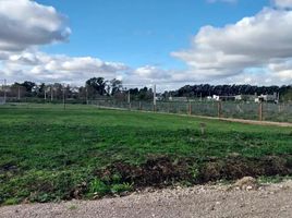  Grundstück zu verkaufen in La Plata, Buenos Aires, La Plata