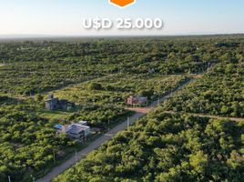  Terreno (Parcela) en venta en Junin, San Luis, Junin