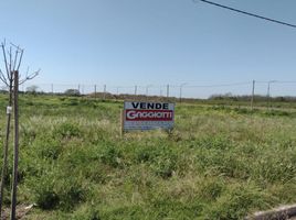  Land for sale in Castellanos, Santa Fe, Castellanos