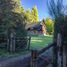 4 chambre Maison for sale in Lacar, Neuquen, Lacar