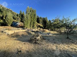  Grundstück zu verkaufen in Cushamen, Chubut, Cushamen, Chubut