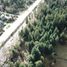  Land for sale in Cushamen Chubut, Cushamen