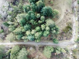  Land for sale in Cushamen Chubut, Cushamen