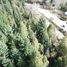  Land for sale in Cushamen Chubut, Cushamen