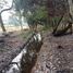  Land for sale in Cushamen Chubut, Cushamen