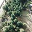  Land for sale in Cushamen Chubut, Cushamen