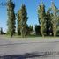  Land for sale in San Lorenzo, Santa Fe, San Lorenzo