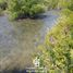  Land for sale in Cushamen, Chubut, Cushamen, Chubut