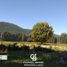  Land for sale in Cushamen, Chubut, Cushamen, Chubut
