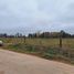  Land for sale in Brandsen, Buenos Aires, Brandsen