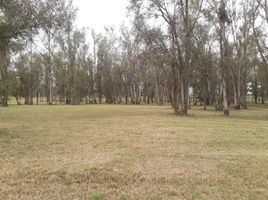  Land for sale in Santa Fe, San Lorenzo, Santa Fe