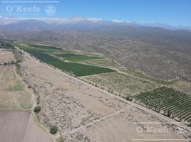  Land for sale in Tupungato, Mendoza, Tupungato