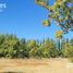  Land for sale in Neuquen, Confluencia, Neuquen